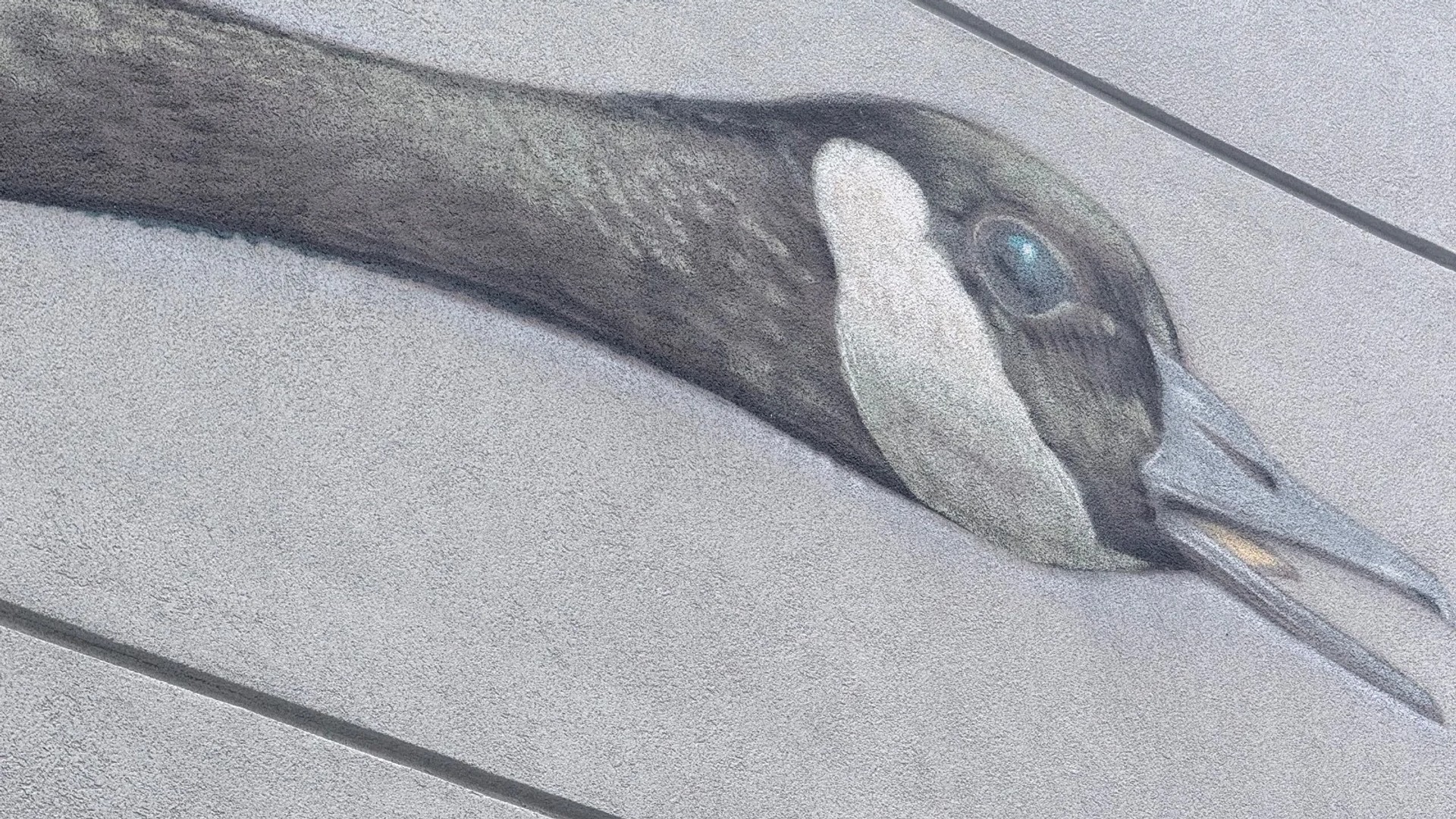 Untitled by Arpi - Mural in Hintonburg, Ontario