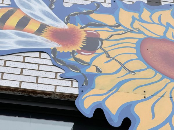 Mural artwork by Claudia Salguero - Street art in Golden Triangle, Ottawa, Ontario