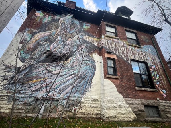 Untitled Submission by Scott and Heather - Mural in Centretown, Ontario