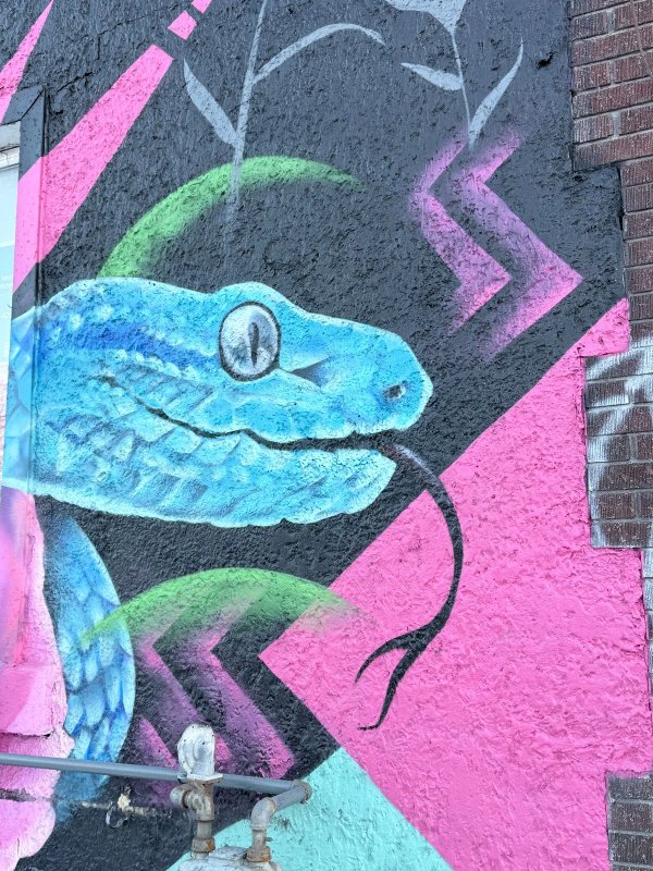 Untitled by Unknown - Mural in Chinatown, Ontario