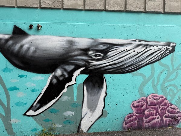 Detailed street art by Ottawa muralist Daniel Martelock featuring a realistic grayscale humpback whale and a vibrant yellow tropical fish on a turquoise cinder block wall in Centretown.
