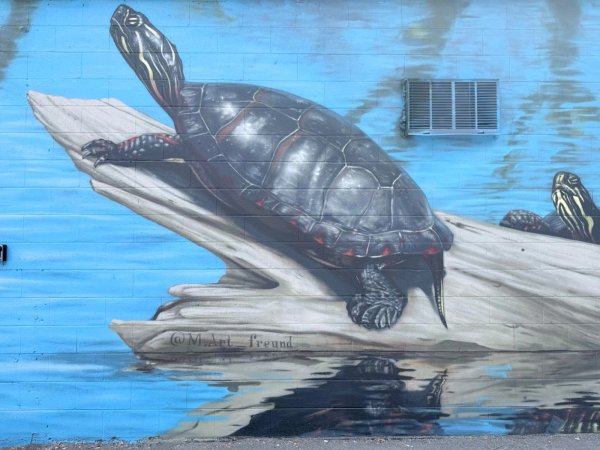 Mural artwork by Martin Freundorfer - Street art in Hintonburg, Ottawa, Ontario