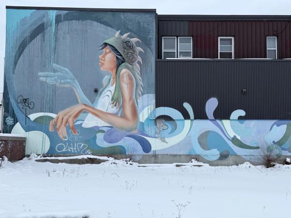 Public mural artwork in Rideau Gardens, Ottawa - Street art scene