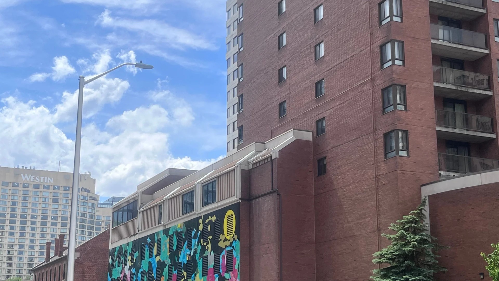 Mural artwork by Eepmon - Street art in Byward Market, Ottawa, Ontario
