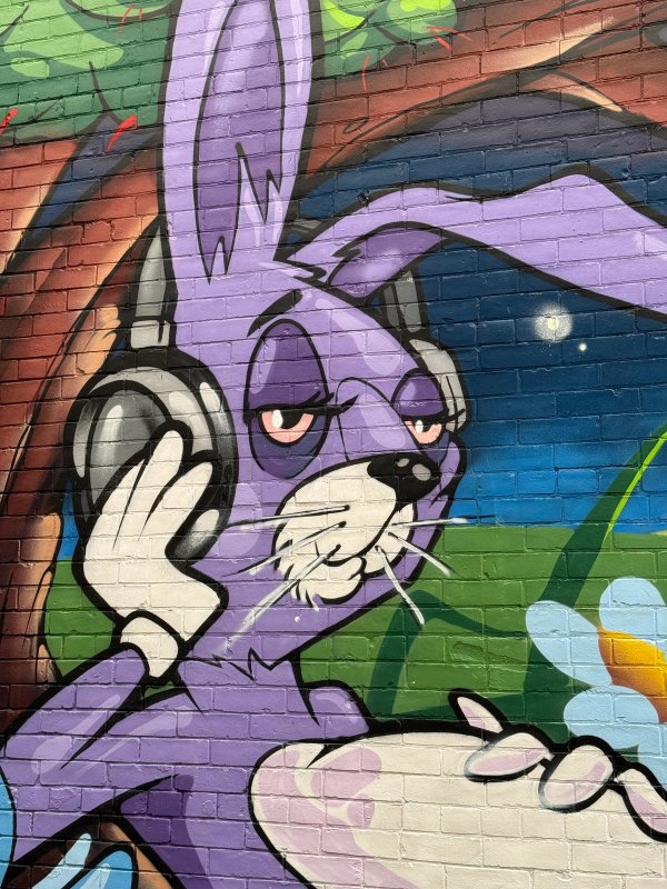 Inconnu street art mural photo 3