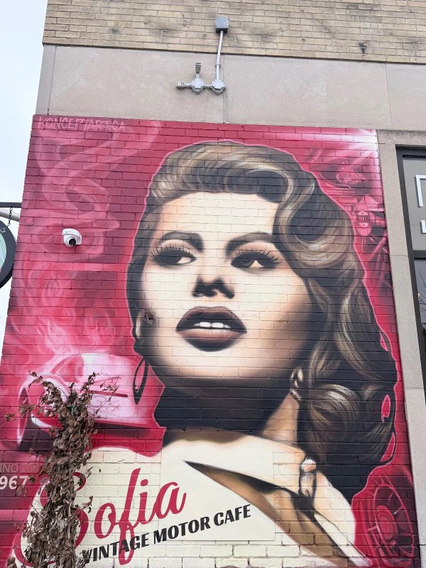 Close-up of a female portrait mural with vintage aesthetics and flowing hair, painted in shades of pink and black on brick. Artwork by Koncept Art at Sophia Vintage Café. Part of a growing record of ephemeral urban art in the National Capital Region.