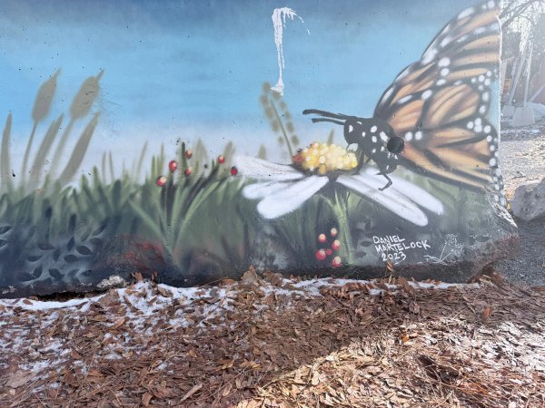 Untitled by Daniel Martelock - Mural in Hintonburg, Ontario