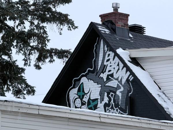 Street art mural in Hintonburg, Ottawa - Urban art photography