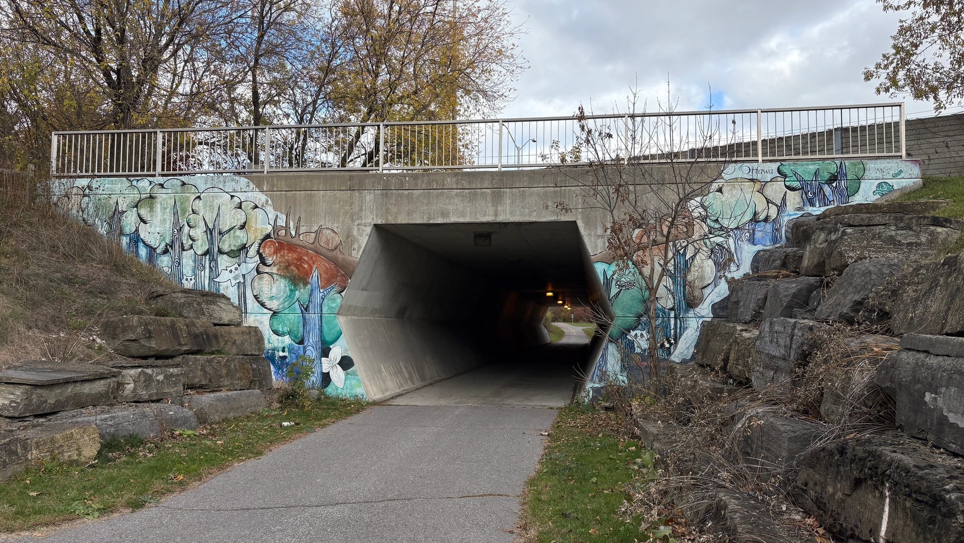 Beaverbrook Underpass mural in Kanata by Unknown / Inconnu