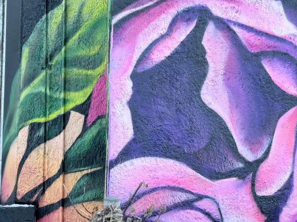 Untitled by Unknown - Mural in Chinatown, Ontario