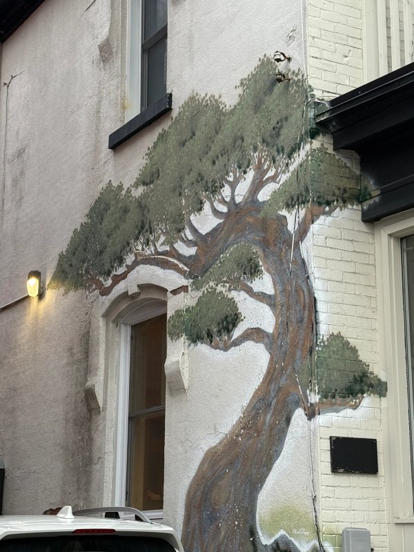 Inconnu street art mural photo 1