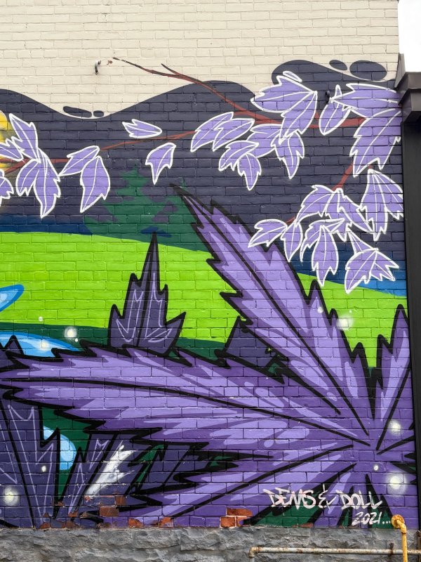 Inconnu street art mural photo 4