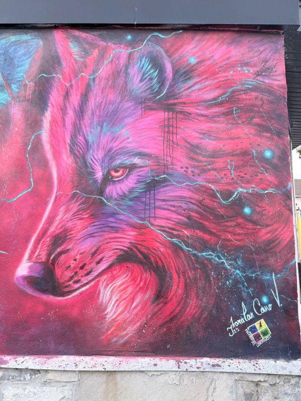 Mural artwork by Jhonatan Cano Vasquez - Street art in Hull, Ottawa, Ontario