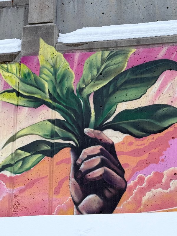Mural artwork by Kalkidan Assefa - Street art in Byward Market, Ottawa, Ontario