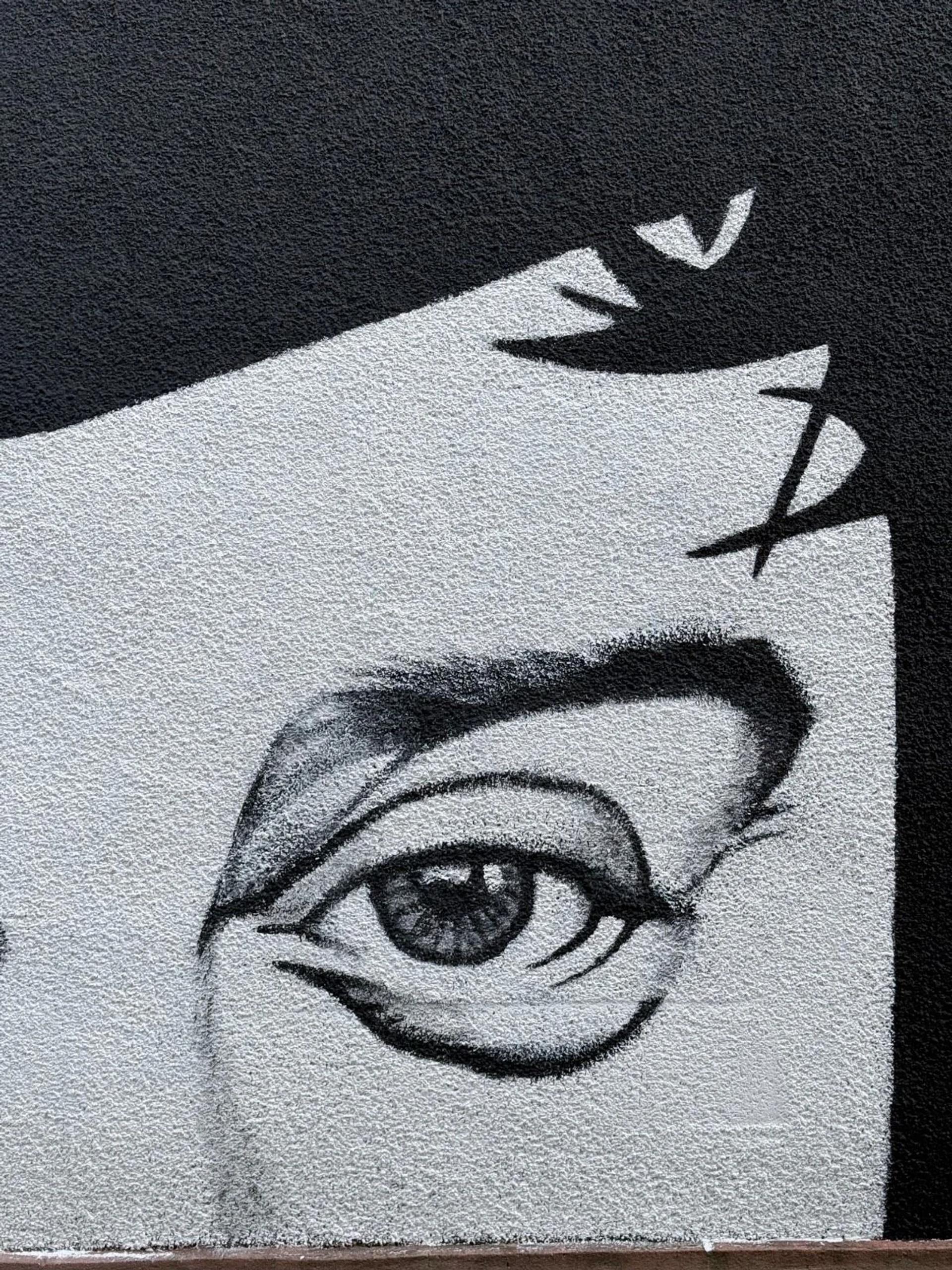Public mural artwork in Hull, Ottawa - Street art scene