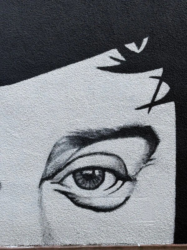 Public mural artwork in Hull, Ottawa - Street art scene