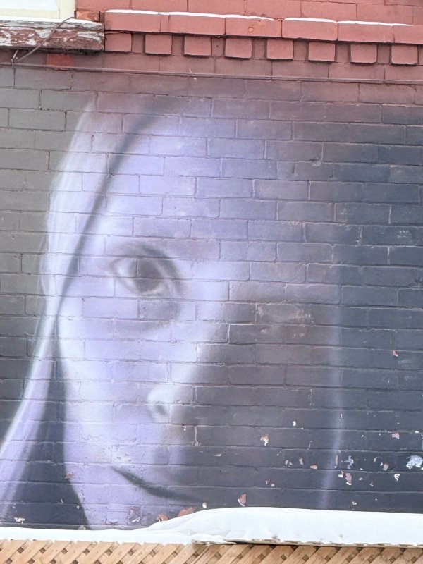 Public mural artwork in Rideau Gardens, Ottawa - Street art scene