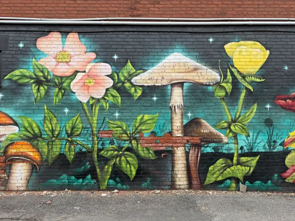 Le jardin de Glebe by Dan Metcalfe