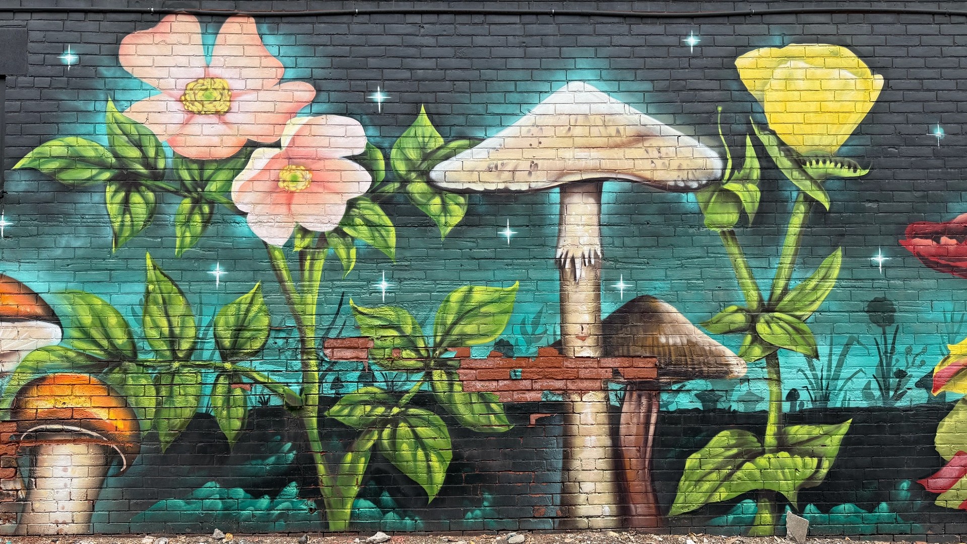 Le jardin de Glebe mural in The Glebe by Dan Metcalfe