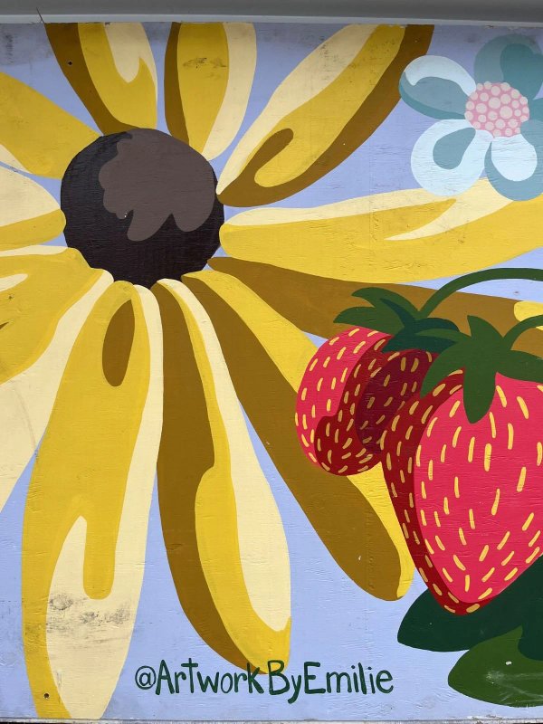 Mural artwork by Emilie Darlington - Street art in Hintonburg, Ottawa, Ontario