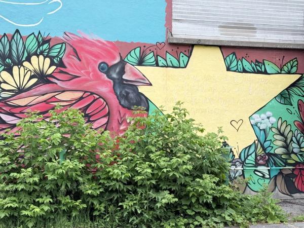 Street art mural in Old Ottawa East, Ottawa - Urban art photography
