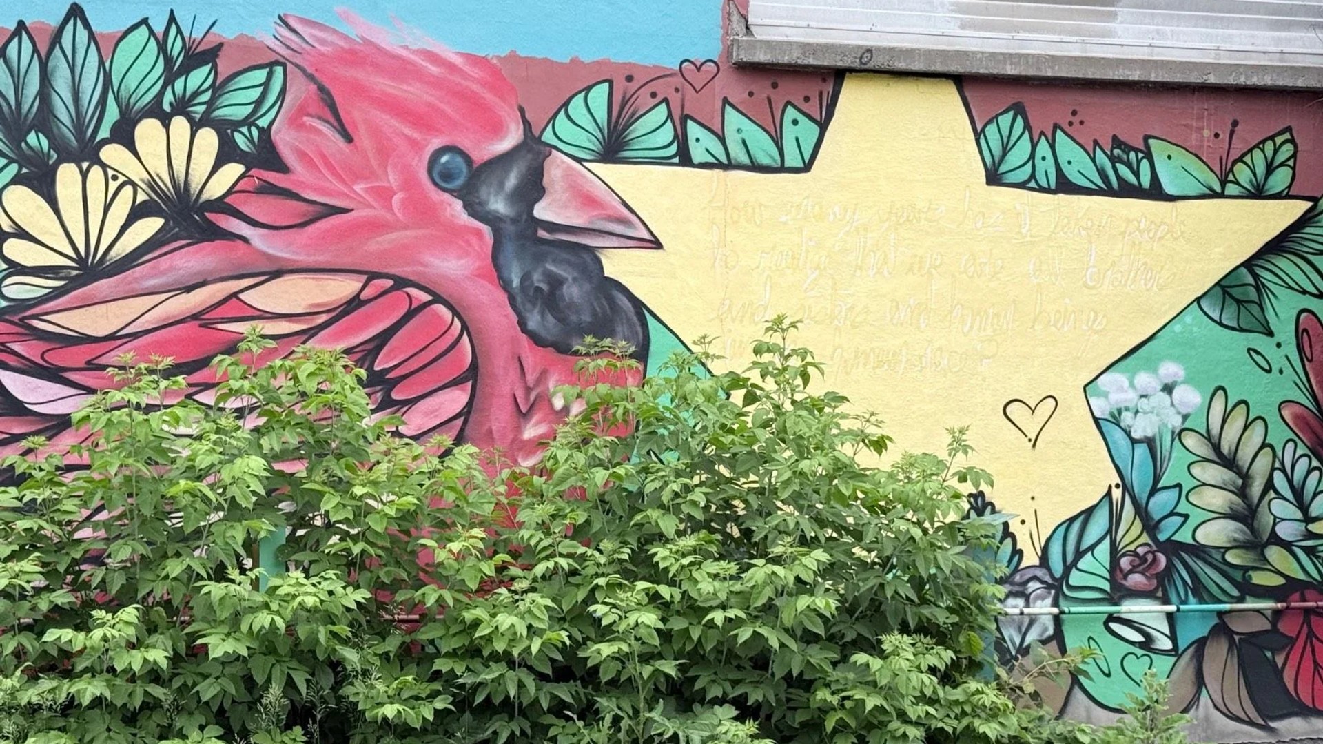 Street art mural in Old Ottawa East, Ottawa - Urban art photography
