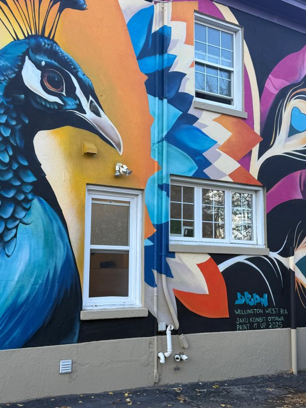 The Proudest Plumage street art mural photo 2