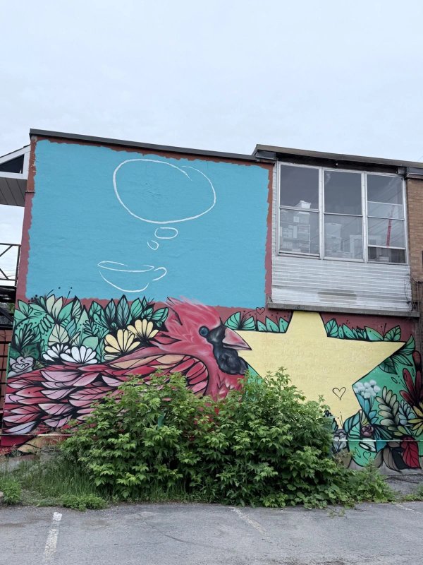 Street art mural in Old Ottawa East, Ottawa - Urban art photography