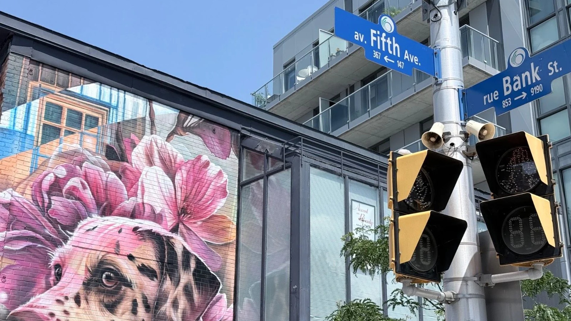 Bank Street Dog Mural by Dom Laporte - Street art mural in The Glebe, Ottawa, Ontario