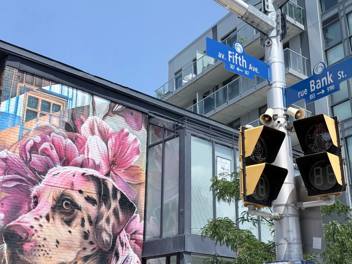 Fresque murale située à l'angle de Bank et de la 5e Avenue, réalisée par Dom Laport et Drift Mural Co, représentant un grand chien et des fleurs roses dans le quartier Glebe, à Ottawa