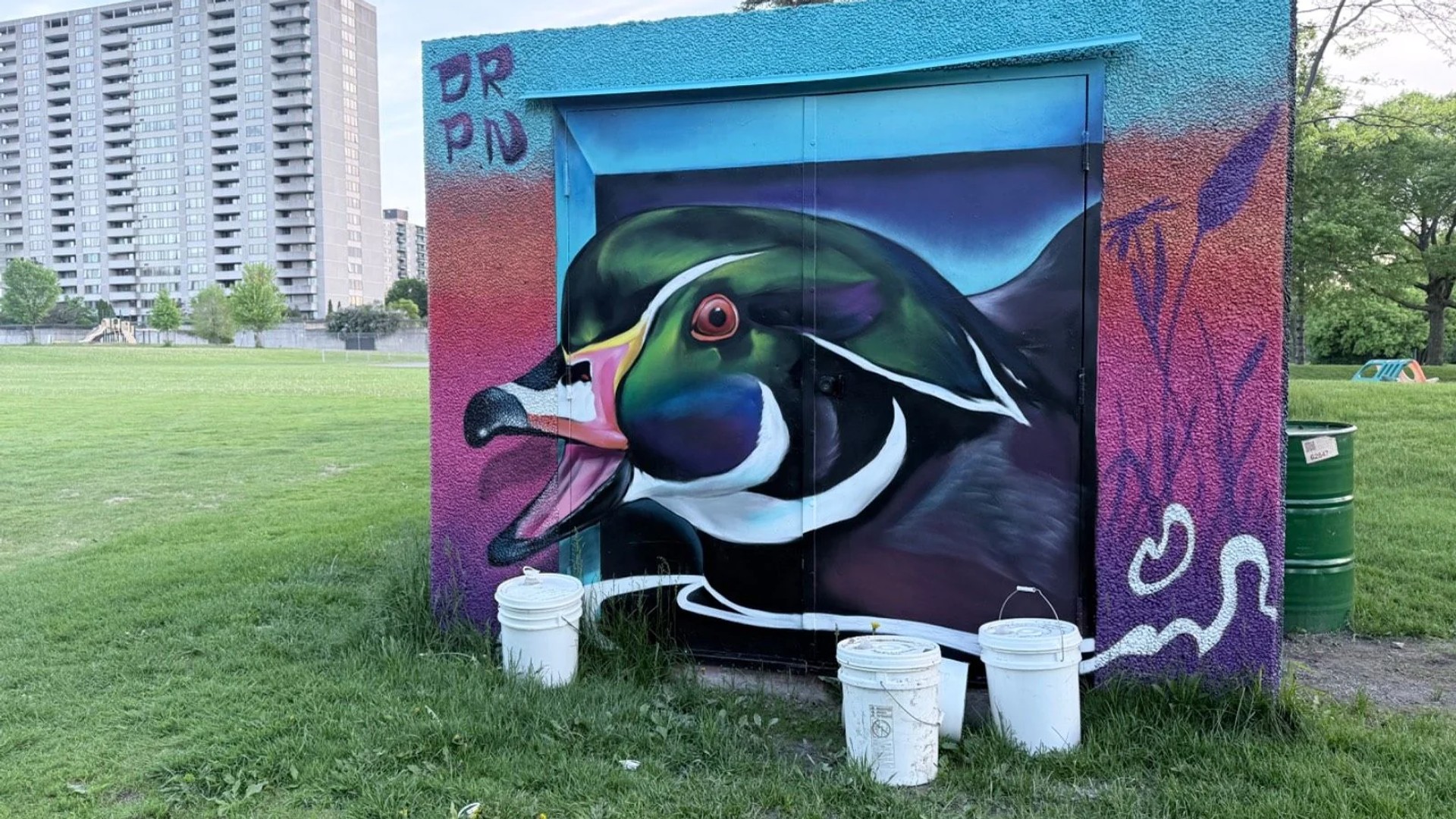 Mural artwork by Kalkidan Assefa (Drippin Soul) - Street art in Lincoln Heights, Ottawa, Ontario