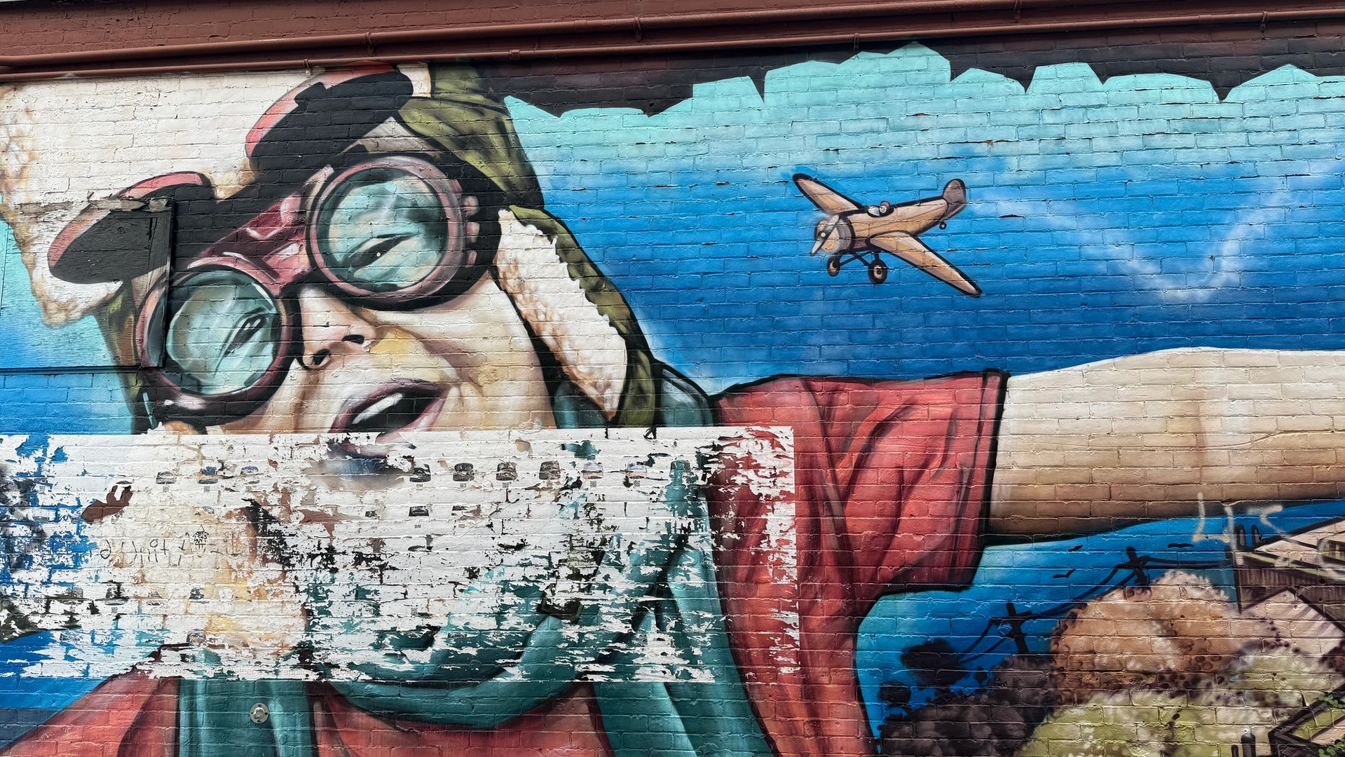 Survoler mural in The Glebe by Dan Metcalfe