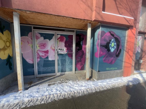 Untitled by Emilie Darlington - Mural in Centretown, Ontario