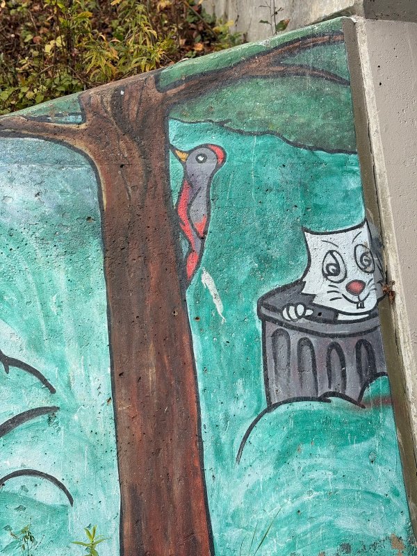 Beaverbrook Underpass street art mural photo 2