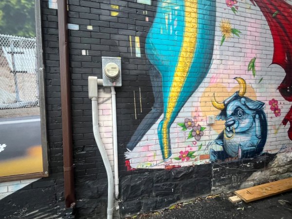 Untitled Submission by Unknown - Mural in Centretown, Ontario