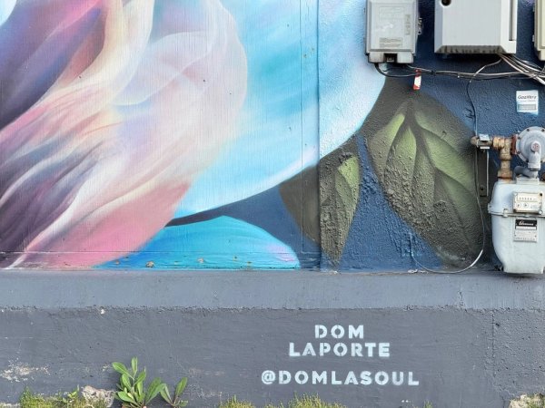 Mural artwork by Dom Laporte - Street art in Hull, Ottawa, Ontario