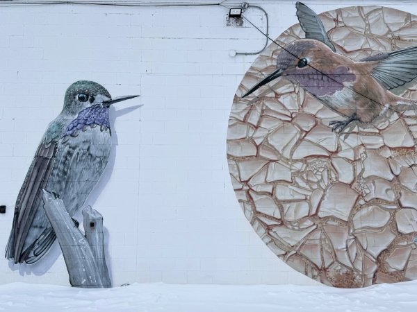 Untitled by Rene-Pierre Beaudry (ARPi) - Mural in Hintonburg, Ontario