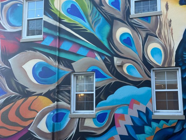 The Proudest Plumage street art mural photo 1