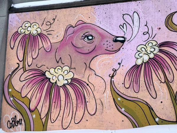 Mural artwork by Coblou - Street art in Byward Market, Ottawa, Ontario