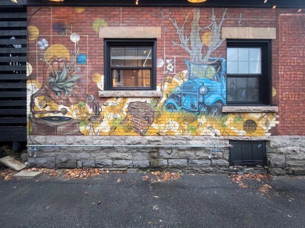 Untitled Submission by Dom Laporte - Mural in Centretown, Ontario