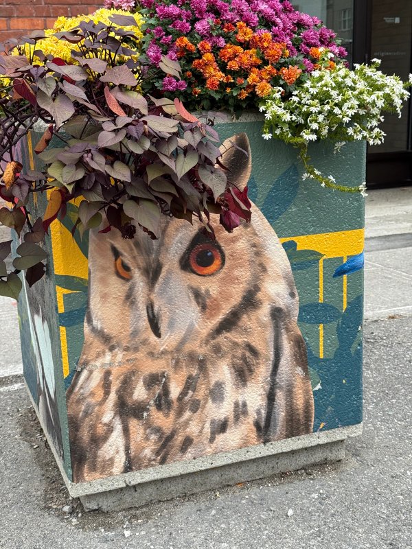 Lowertown Flower Boxes street art mural photo 1