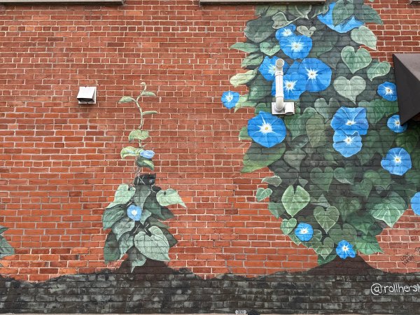 Morning Glory street art mural photo 1