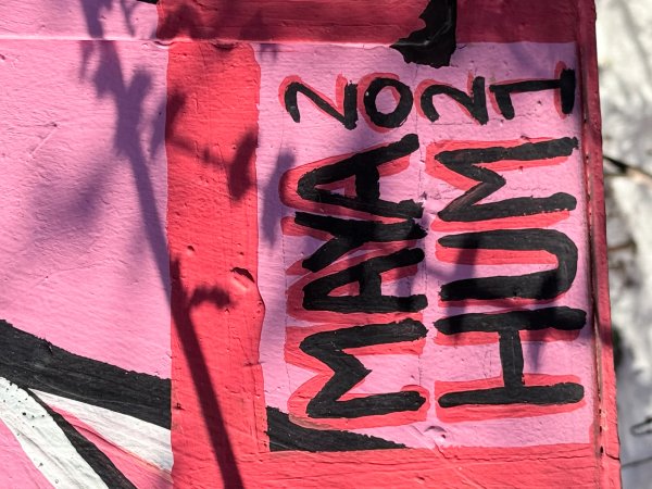 Racism is a Pandemic Too by Maya Hum - Mural in Hintonburg, Ontario