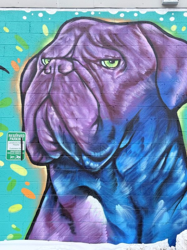 Colorful animal mural by The Higher Ups, Bank Street, Ottawa. Part of the OTTAWALLS interactive street art index.