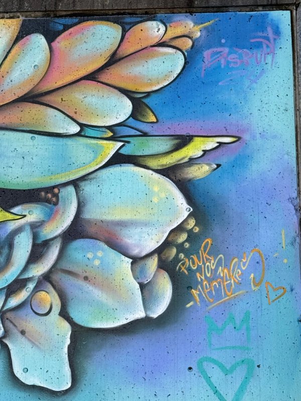 Mural artwork by Mique Michelle - Street art in Byward Market, Ottawa, Ontario