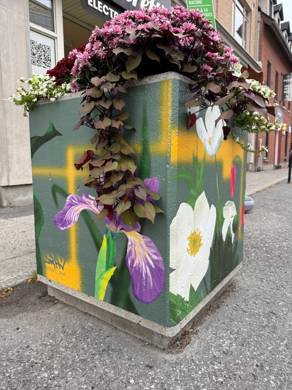 Lowertown Flower Boxes street art mural photo 5