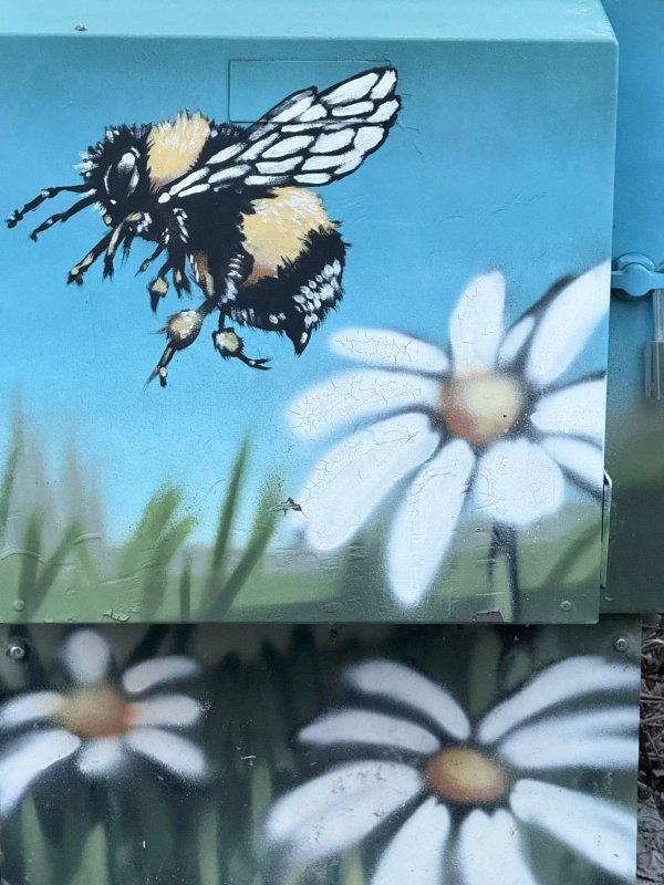 Mural artwork by Daniel Martelock - Street art in Hintonburg, Ottawa, Ontario