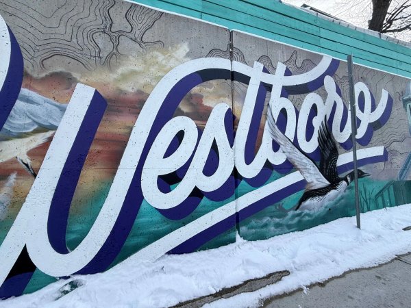 Ottawa street art, Westboro Beach mural, Style Over Status artist, local wildlife art