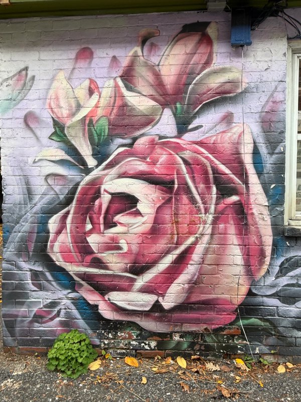 Nature Entwined street art mural photo 2