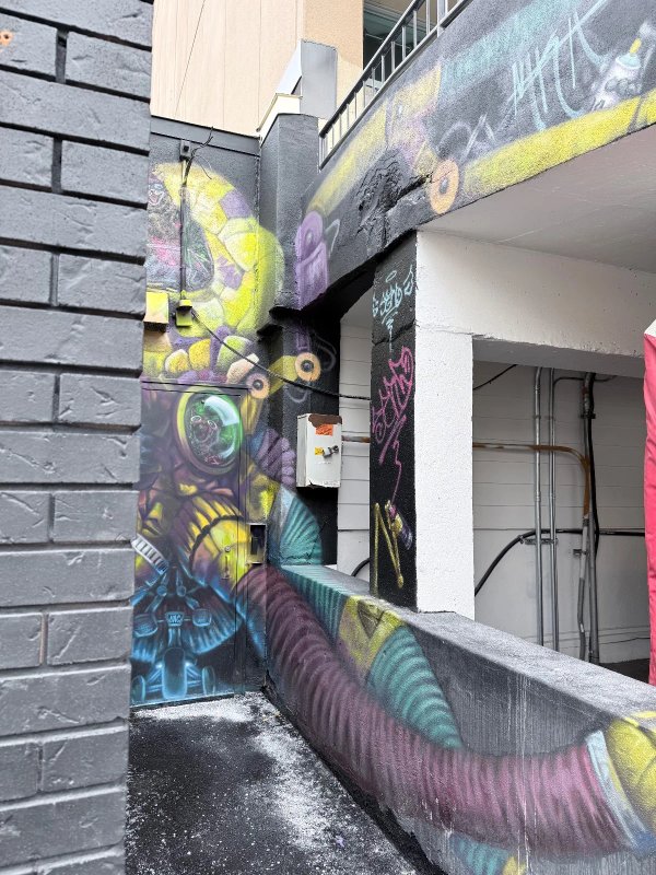 Side profile of Martin Freundorfer’s mural at 50 Bayswater studio. The contrast of bright graffiti against black brick makes this one of the most recognizable murals in Ottawa's National Capital Region.